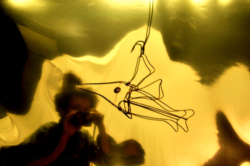 14. Snorkeling plateau L' enfant de la haute mer. Automne2085.