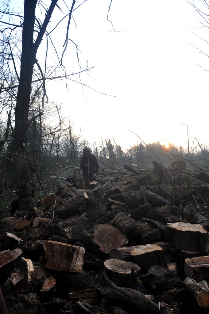 Julien au telephone tas de chene sur champs