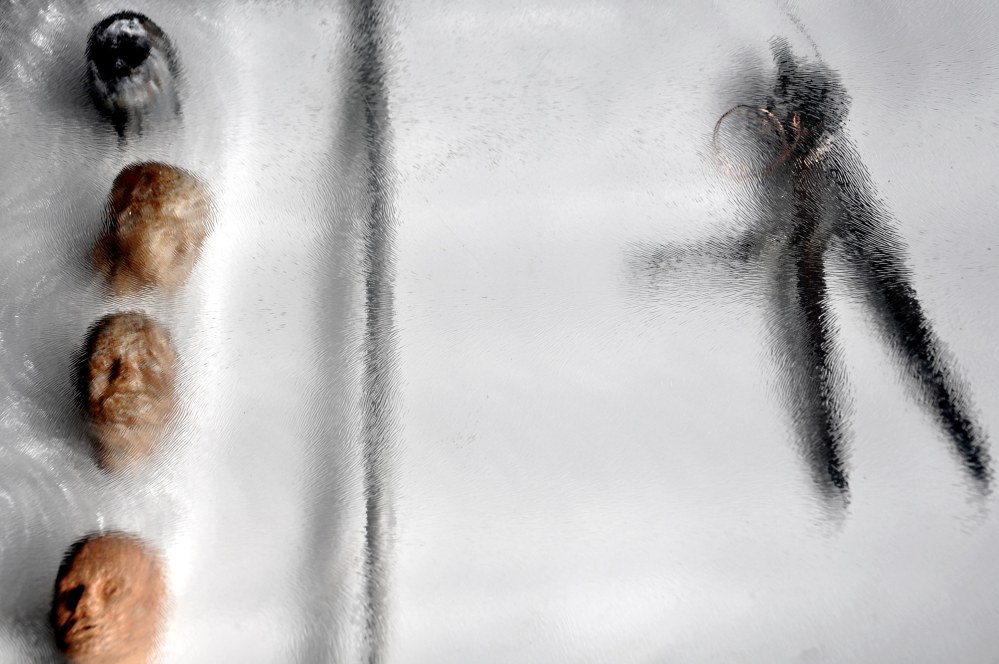 photo des têtes, empreinte. Automne 2085 Théâtre nomade de marionnette et de matière 