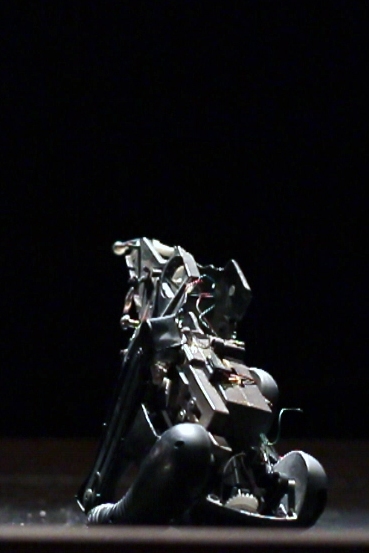 L'éléphant pathétique.